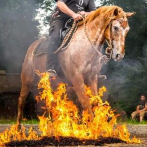 Feuerkurs der VFD-Mönchengladbach am 12.10.2025