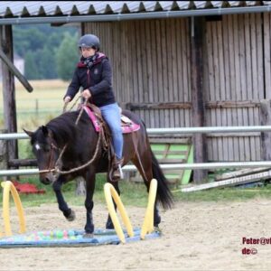 Playday am X (Test)