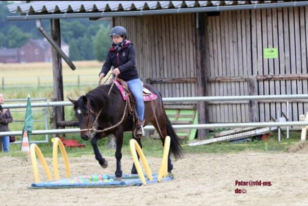 Playday am X (Test)