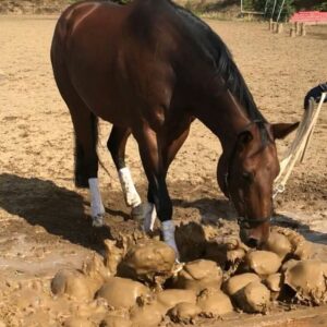 Nature Trail to go Tickets